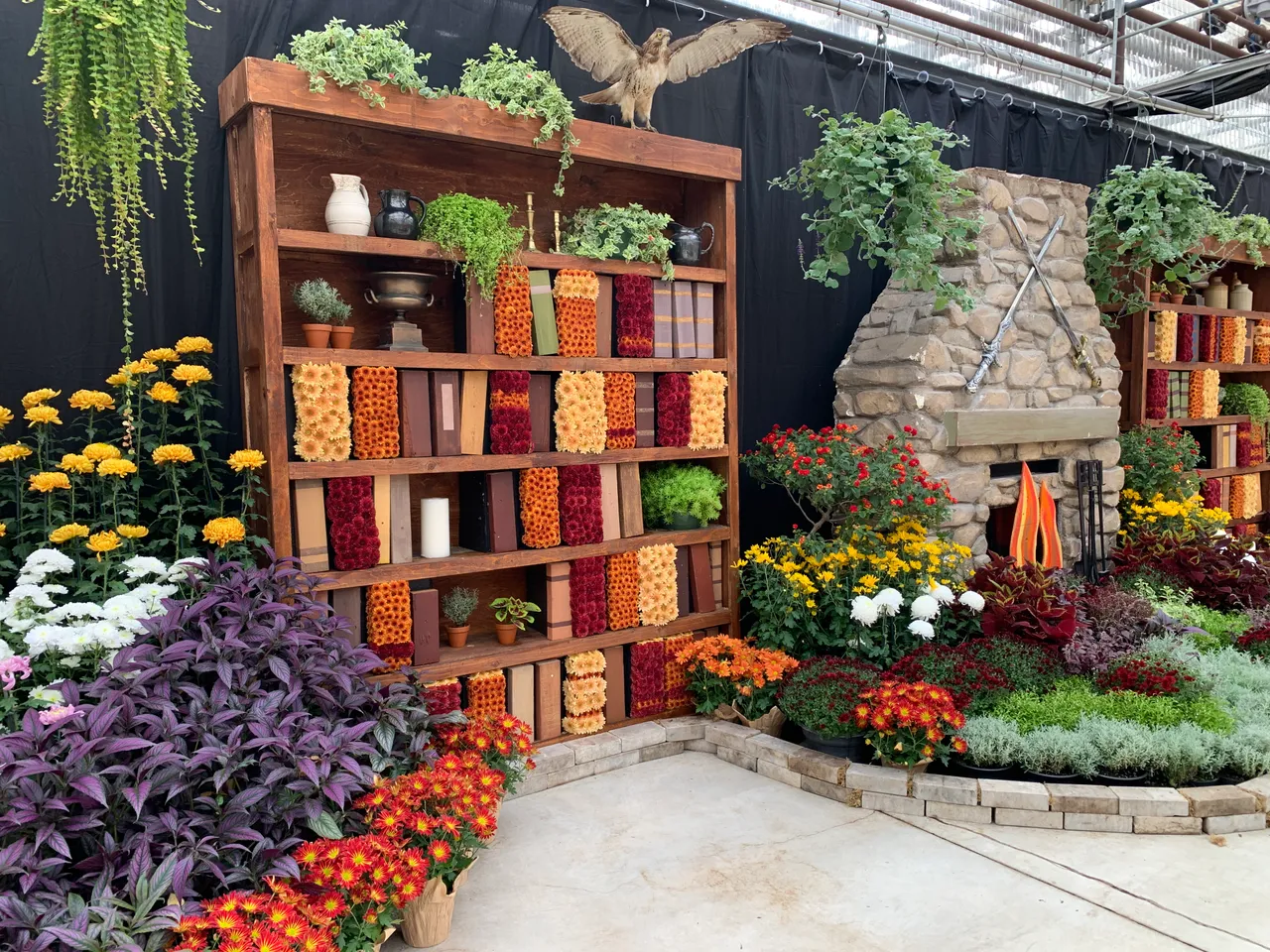 A past Mum Show inside Gage Park Greenhouse, from October 2023 coverage. The 2026 display will differ.